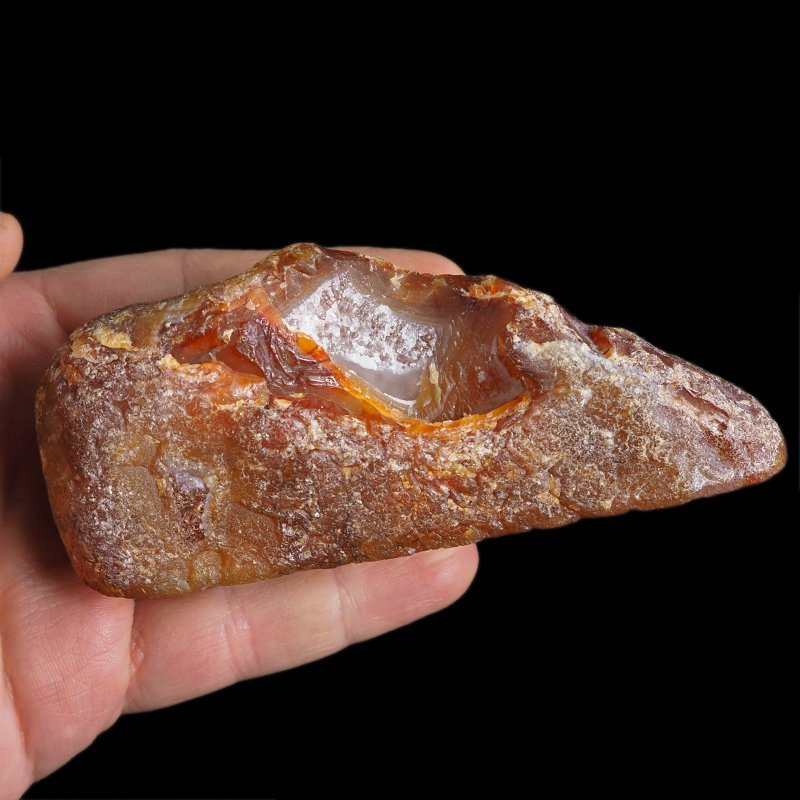 AGAT SUMATRZAŃSKI- 120 mm - SUMATRA, INDONEZJA