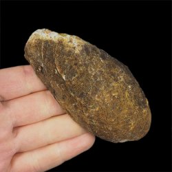 AGAT CZERWONY - 97 mm - BRAZYLIA