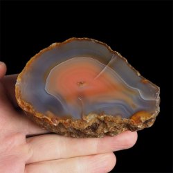 AGAT CZERWONY - 88 mm - BRAZYLIA