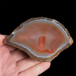 AGAT CZERWONY - 102 mm - BRAZYLIA