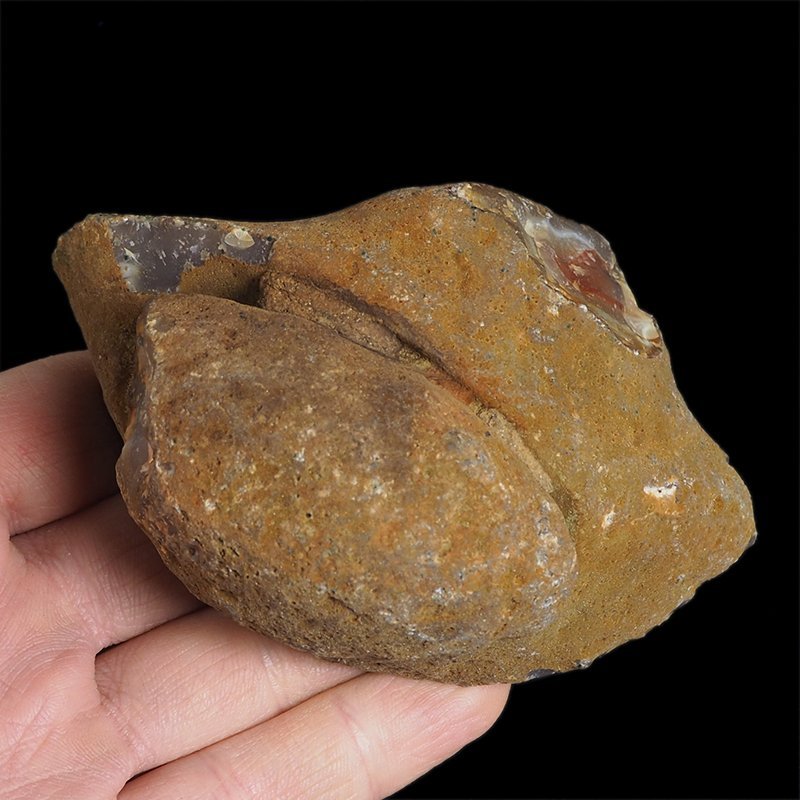 AGAT CZERWONY - 102 mm - BRAZYLIA
