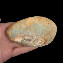 AGAT CZERWONY - 113 mm - BRAZYLIA