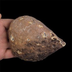 AGAT CZERWONY - 110 mm - BRAZYLIA