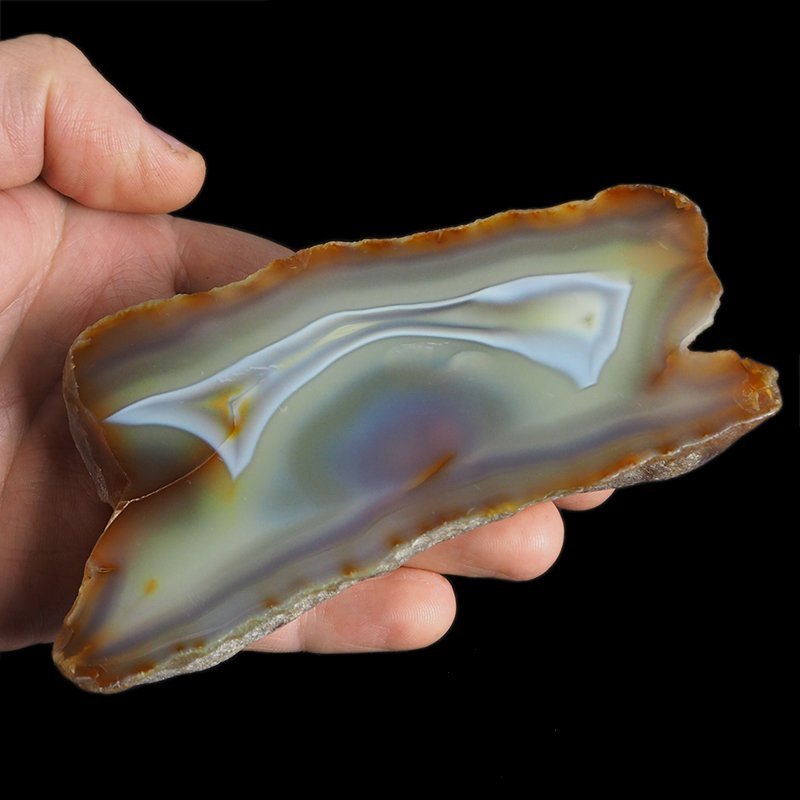 AGAT SUMATRZAŃSKI- 125 mm - SUMATRA, INDONEZJA