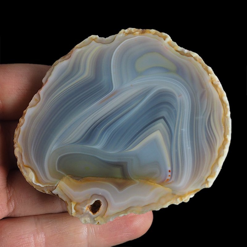 AGAT SUMATRZAŃSKI- 77 mm - SUMATRA, INDONEZJA