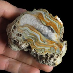 AGAT SUMATRZAŃSKI- 79 mm - SUMATRA, INDONEZJA