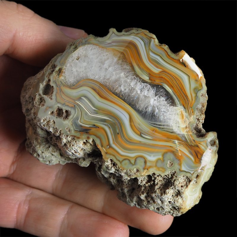 AGAT SUMATRZAŃSKI- 79 mm - SUMATRA, INDONEZJA