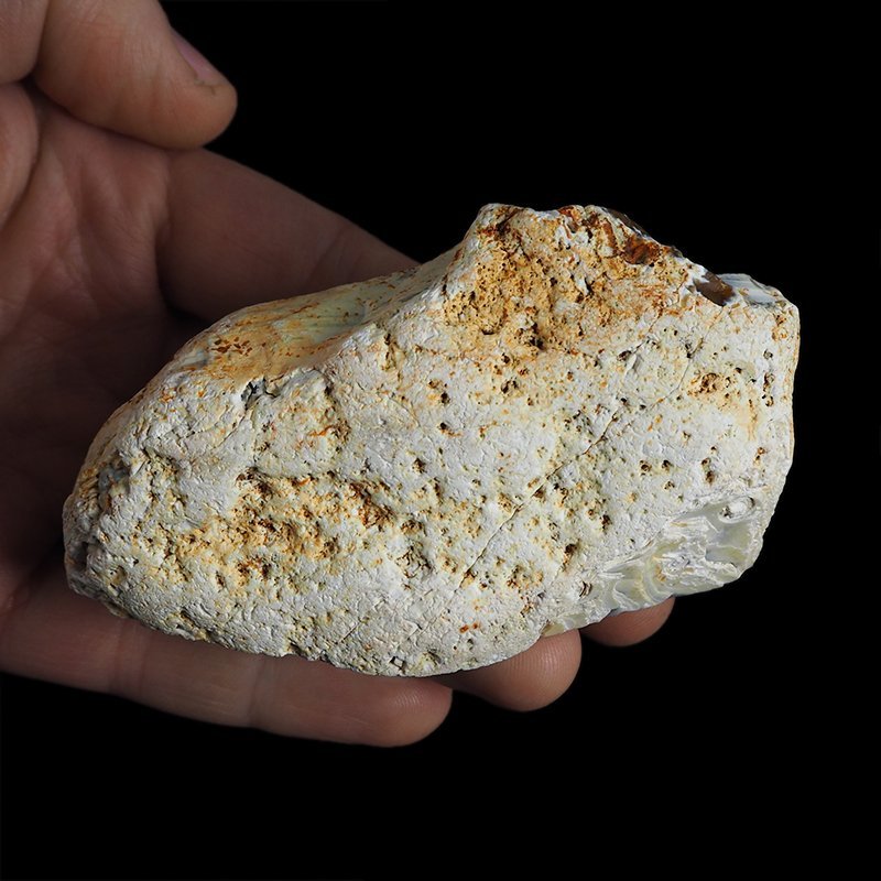 AGAT SUMATRZAŃSKI- 100 mm - SUMATRA, INDONEZJA