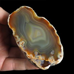 AGAT SUMATRZAŃSKI- 95 mm - SUMATRA, INDONEZJA
