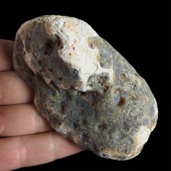 AGAT SUMATRZAŃSKI- 95 mm - SUMATRA, INDONEZJA