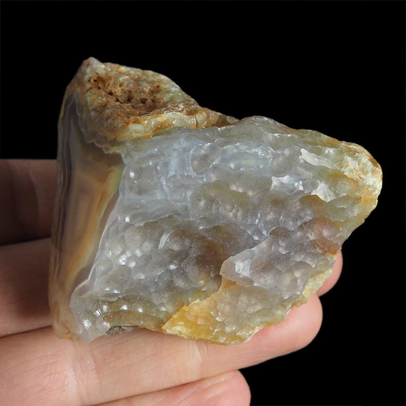 AGAT SUMATRZAŃSKI- 54 mm - SUMATRA, INDONEZJA