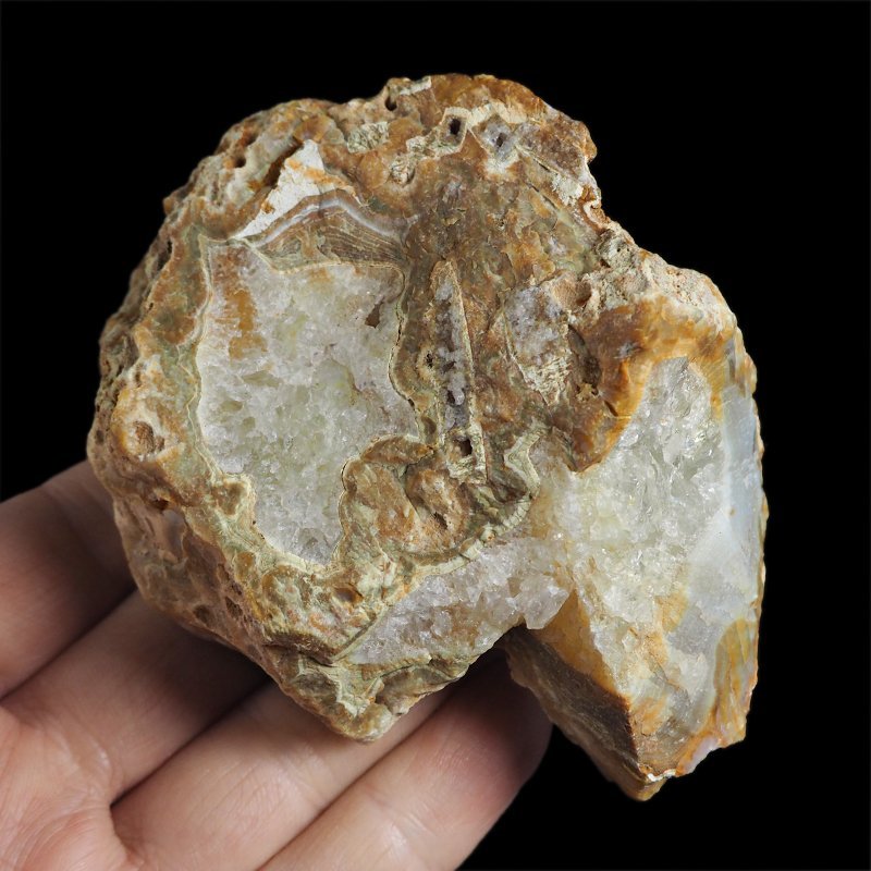 AGAT SUMATRZAŃSKI- 98 mm - SUMATRA, INDONEZJA