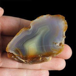 AGAT SUMATRZAŃSKI- 69 mm - SUMATRA, INDONEZJA