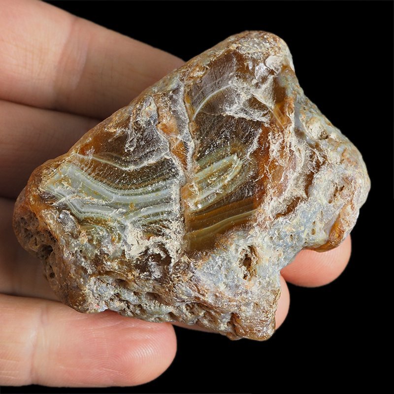 AGAT SUMATRZAŃSKI- 63 mm - SUMATRA, INDONEZJA