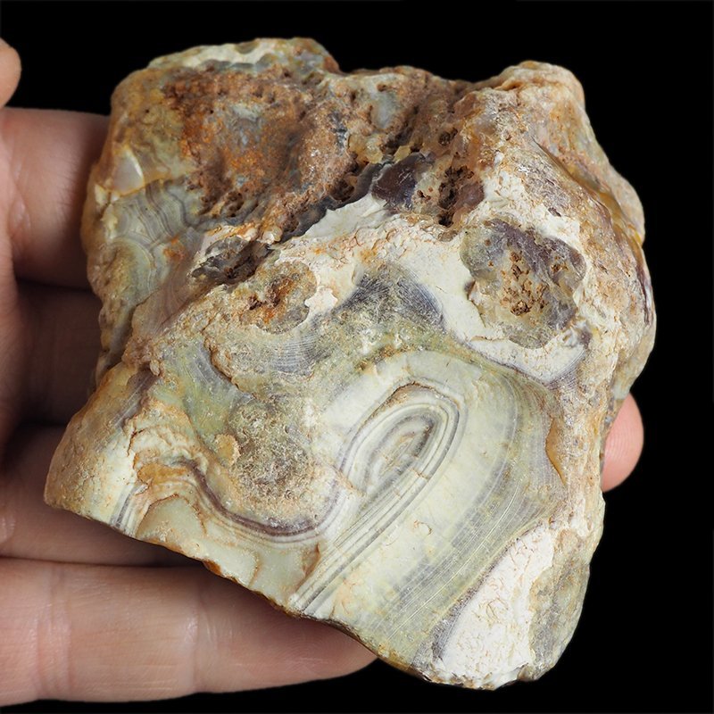AGAT SUMATRZAŃSKI- 83 mm - SUMATRA, INDONEZJA
