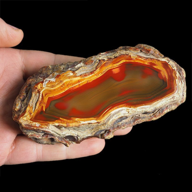 AGAT SUMATRZAŃSKI- 115 mm - SUMATRA, INDONEZJA