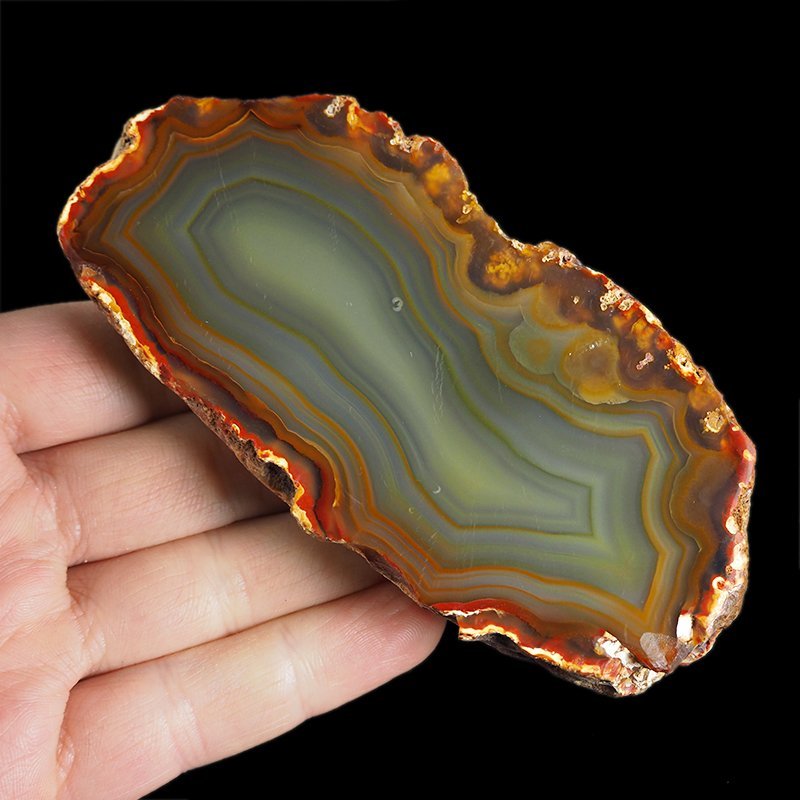 AGAT SUMATRZAŃSKI- 115 mm - SUMATRA, INDONEZJA