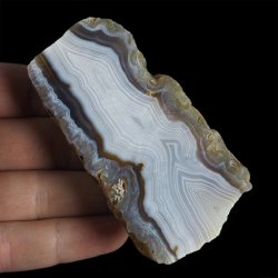 AGAT SUMATRZAŃSKI- 85 mm - SUMATRA, INDONEZJA