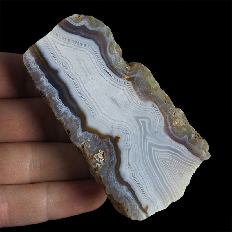 AGAT SUMATRZAŃSKI- 85 mm - SUMATRA, INDONEZJA
