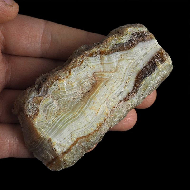 AGAT SUMATRZAŃSKI- 85 mm - SUMATRA, INDONEZJA