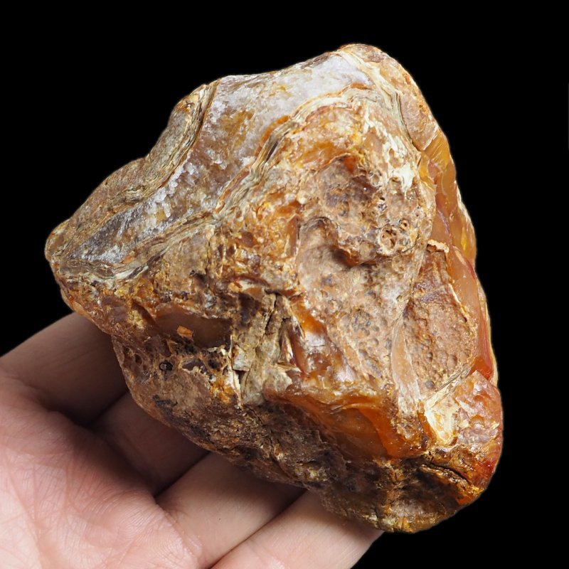 AGAT SUMATRZAŃSKI- 89 mm - SUMATRA, INDONEZJA