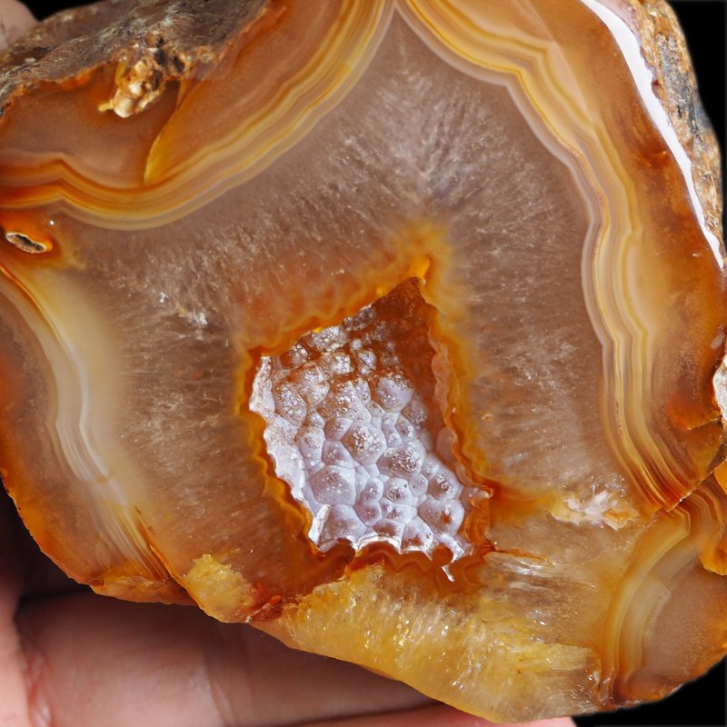 AGAT SUMATRZAŃSKI- 89 mm - SUMATRA, INDONEZJA