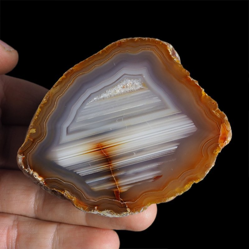 AGAT SUMATRZAŃSKI- 81 mm - SUMATRA, INDONEZJA