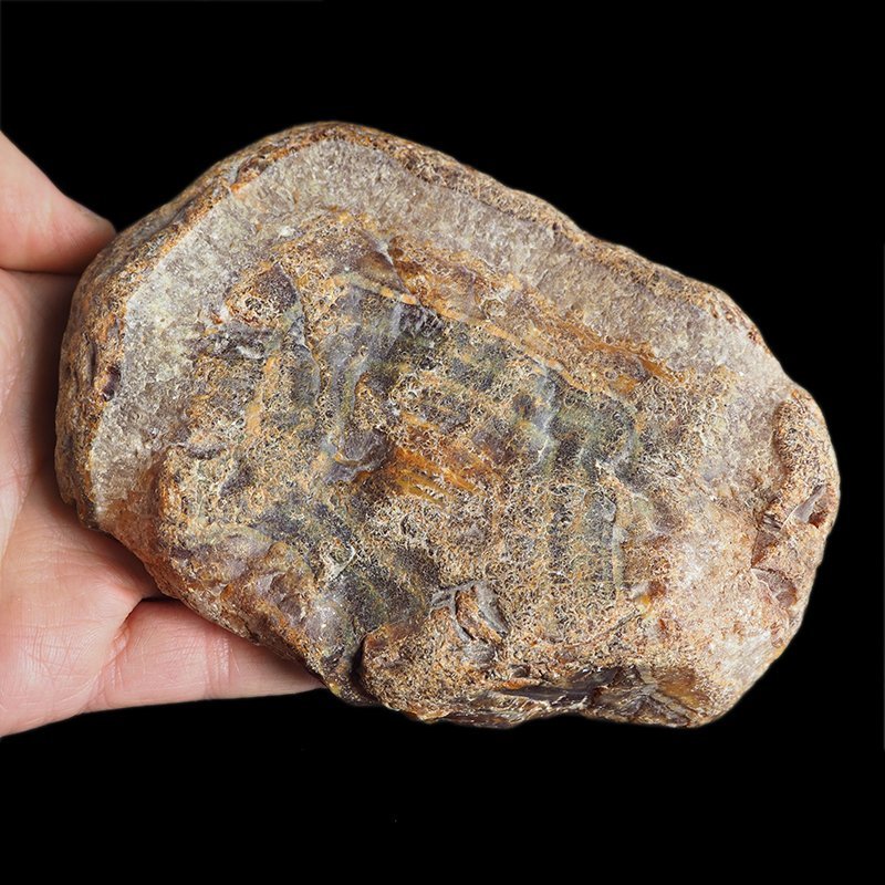 AGAT SUMATRZAŃSKI- 142 mm - SUMATRA, INDONEZJA