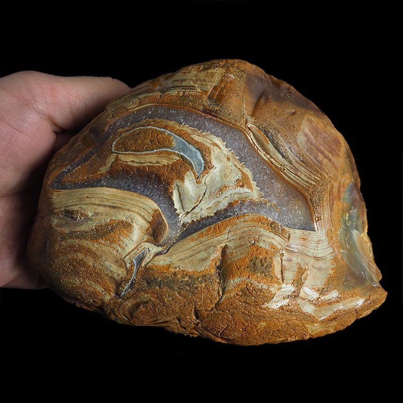 AGAT SUMATRZAŃSKI- 153 mm - SUMATRA, INDONEZJA