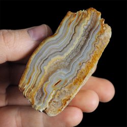 AGAT SUMATRZAŃSKI- 72 mm - SUMATRA, INDONEZJA