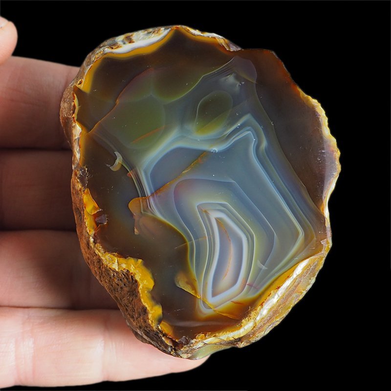 AGAT SUMATRZAŃSKI- 70 mm - SUMATRA, INDONEZJA