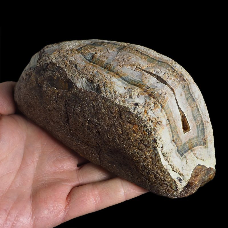 AGAT SUMATRZAŃSKI- 150 mm - SUMATRA, INDONEZJA