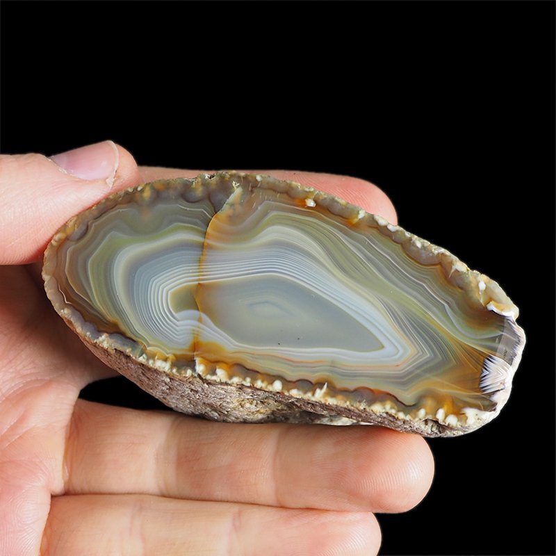 AGAT SUMATRZAŃSKI- 82 mm - SUMATRA, INDONEZJA