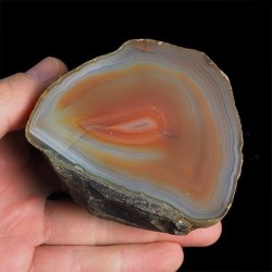 AGAT CZERWONY - 76 mm - BRAZYLIA