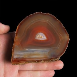 AGAT CZERWONY - 81 mm - BRAZYLIA