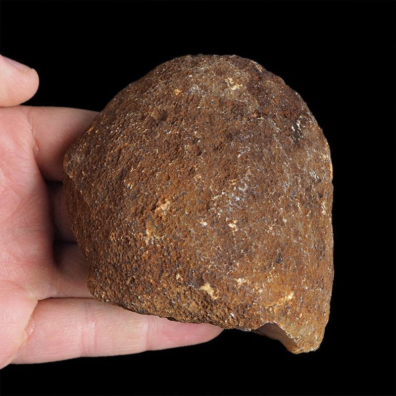 AGAT CZERWONY - 81 mm - BRAZYLIA