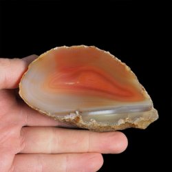 AGAT CZERWONY - 89 mm - BRAZYLIA