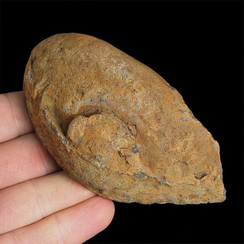 AGAT CZERWONY - 103 mm - BRAZYLIA