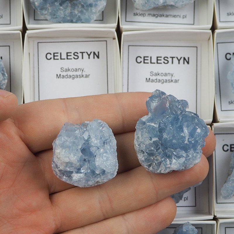 CELESTYN - MINERAŁ W PUDEŁKU Z OPISEM - 25-43 mm - MADAGASKAR