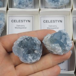 CELESTYN - MINERAŁ W PUDEŁKU Z OPISEM - 25-43 mm - MADAGASKAR