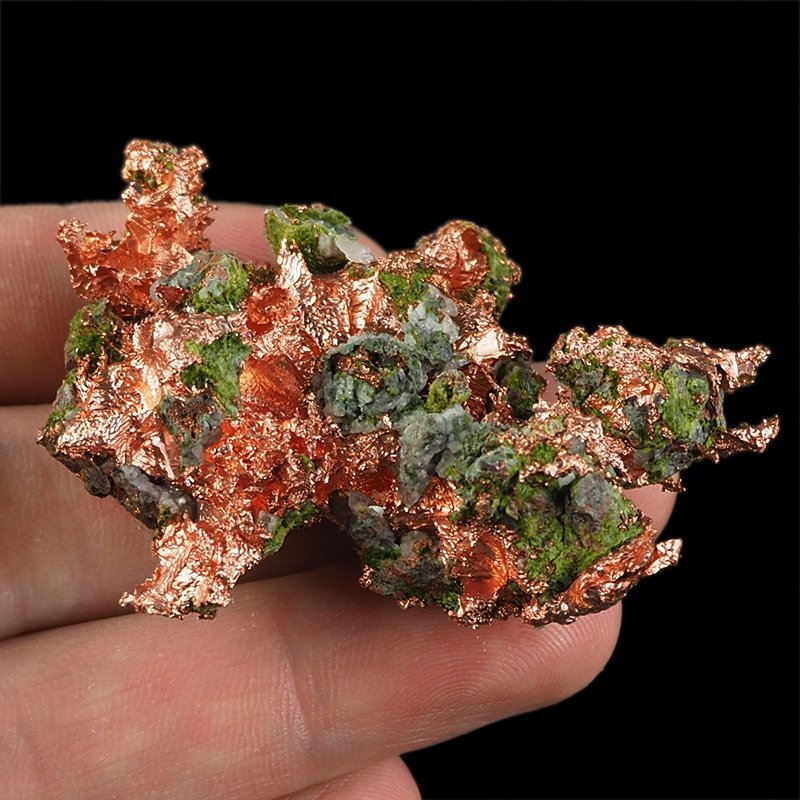 MIEDŹ RODZIMA - 53 mm - USA