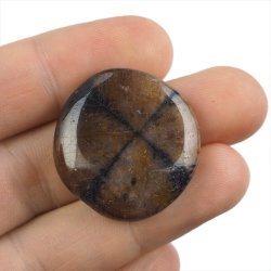 CHIASTOLIT - PŁASKI OTOCZAK - 31 mm