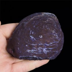 AGAT FIOLETOWY - 81 mm - BRAZYLIA