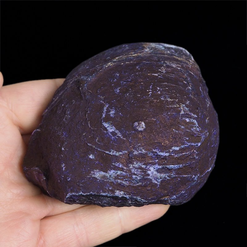 AGAT FIOLETOWY - 81 mm - BRAZYLIA
