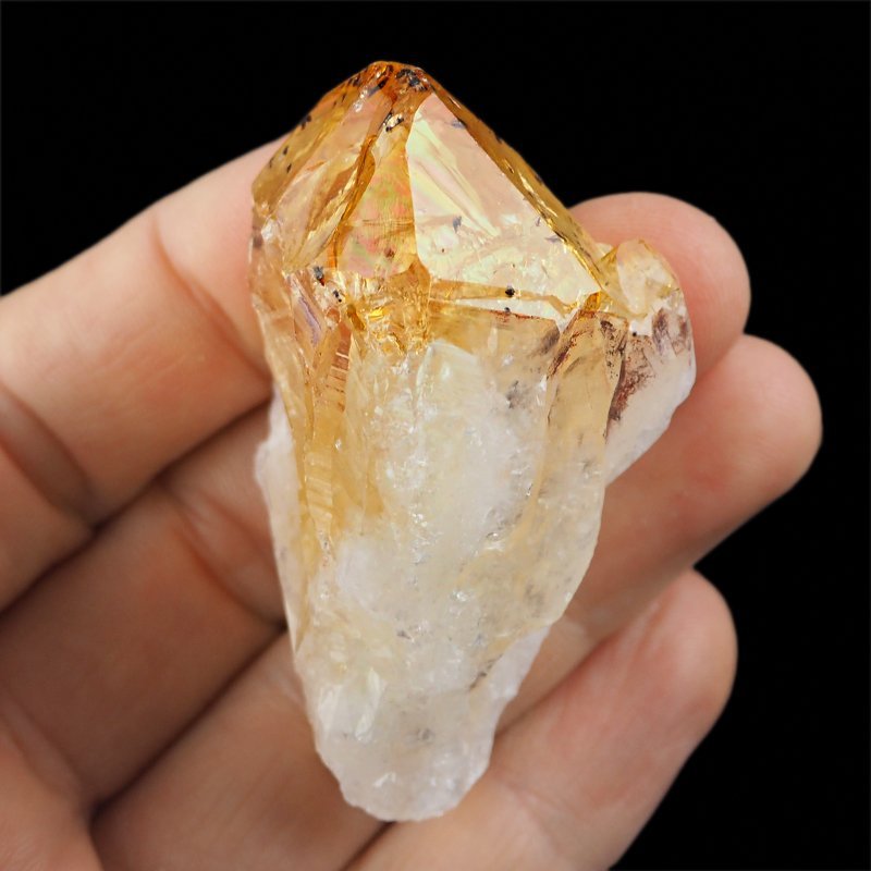 CYTRYN - MONOKRYSZTAŁ - 87 mm - BRAZYLIA