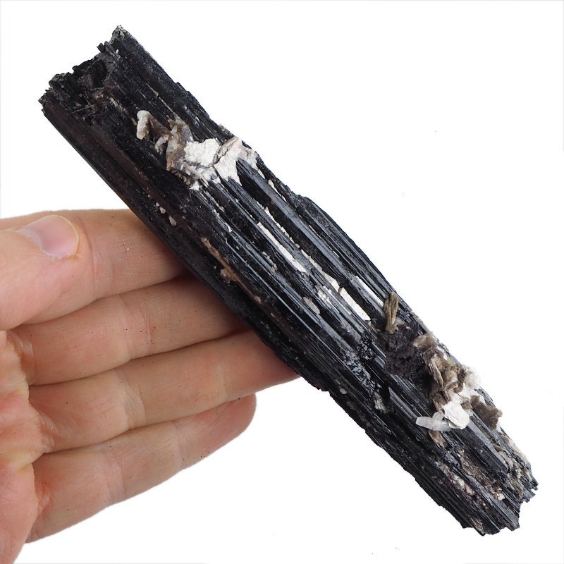 CZARNY TURMALIN - 152 mm - INDIE