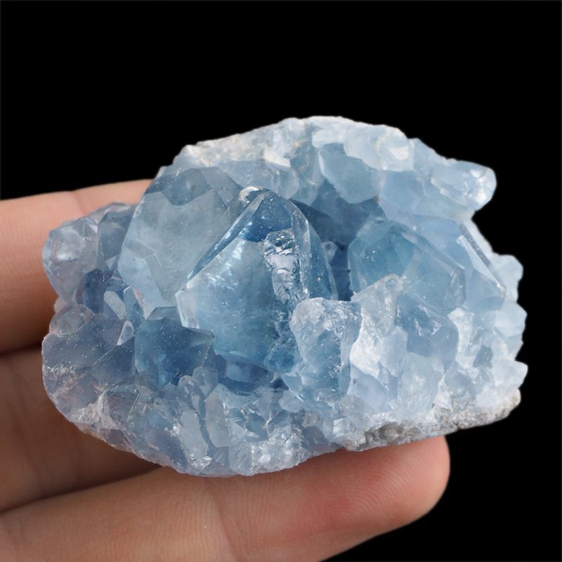 CELESTYN - KRYSZTAŁY - 56 mm - MADAGASKAR