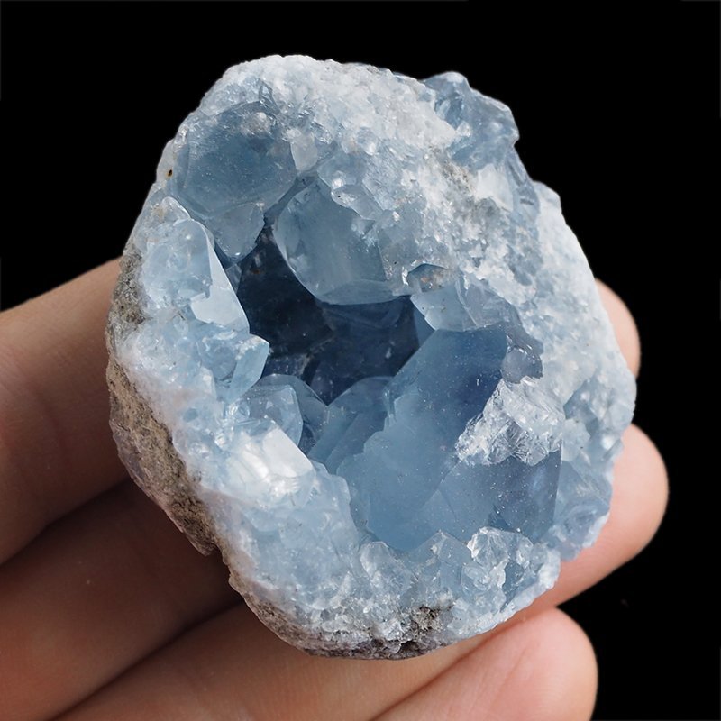 CELESTYN - GEODA - 54 mm - MADAGASKAR