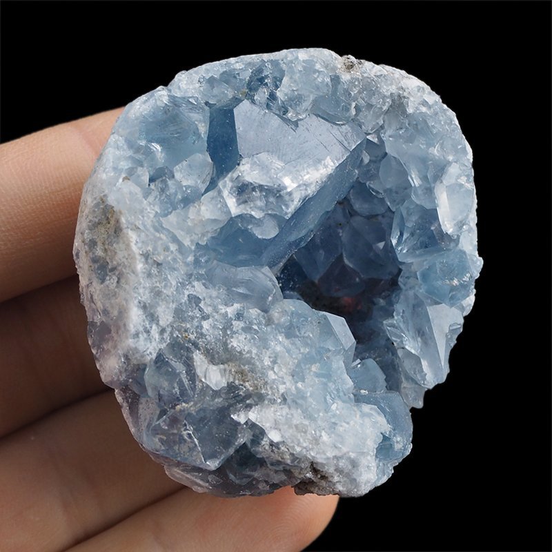 CELESTYN - GEODA - 54 mm - MADAGASKAR