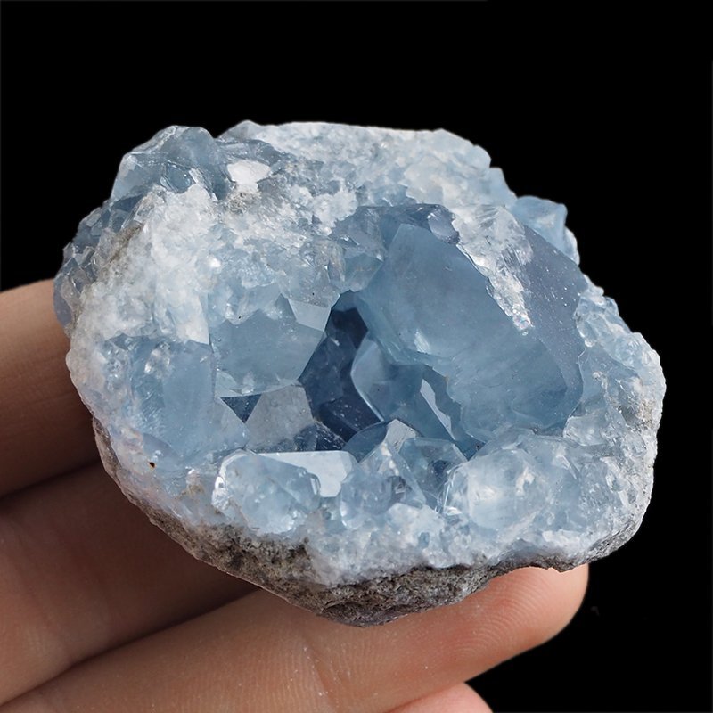 CELESTYN - GEODA - 54 mm - MADAGASKAR